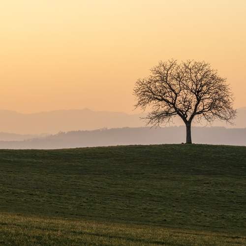 Photo #5944315