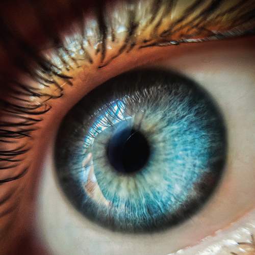 Photo #5944324