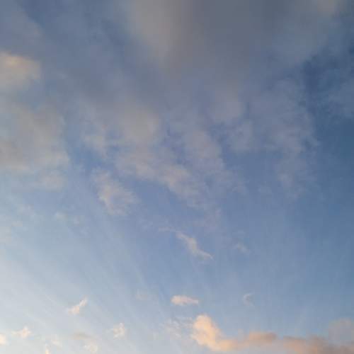 Photo #5944848