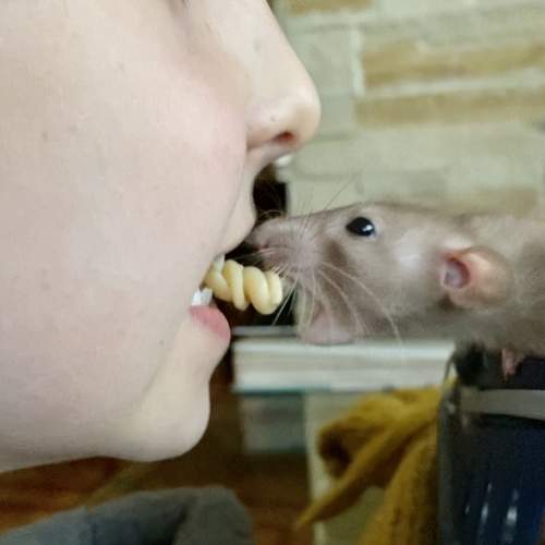 Photo #5944941