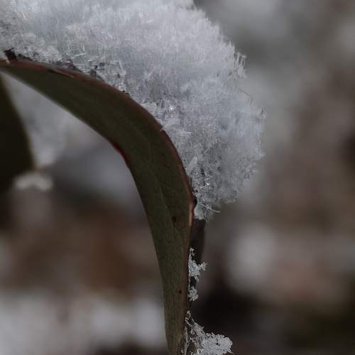 Photo #5945099
