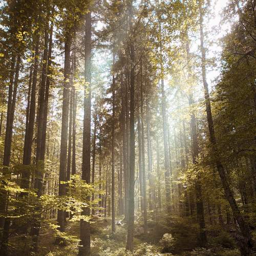 Photo #5945242