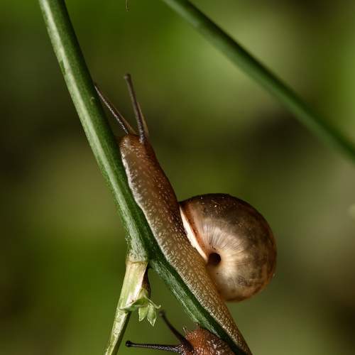 Photo #5945328