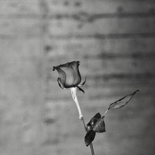 Photo #5945384