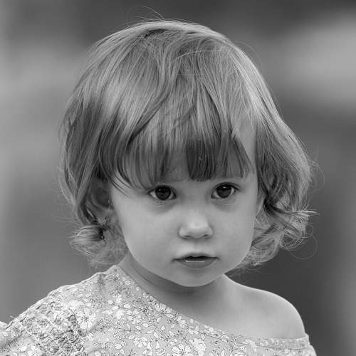 Photo #5945679