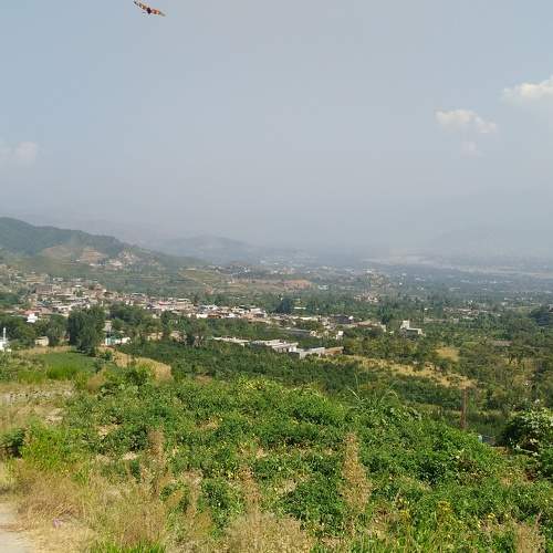 Photo #5945775