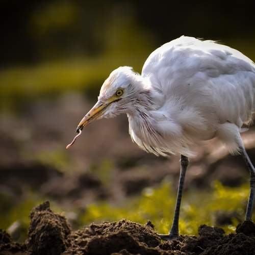Photo #5945819