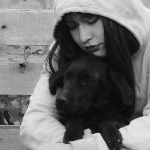Photo #5945950