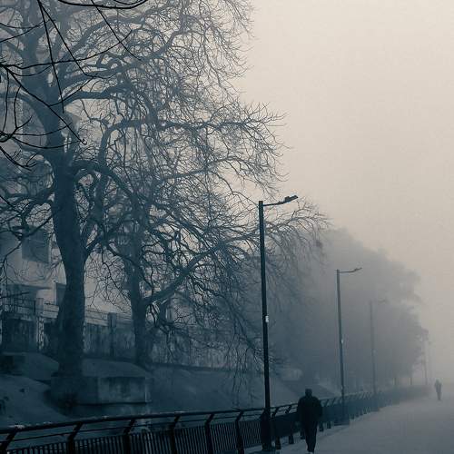 FOGG AND GRAIN