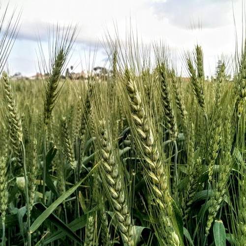 Фотография #5946009