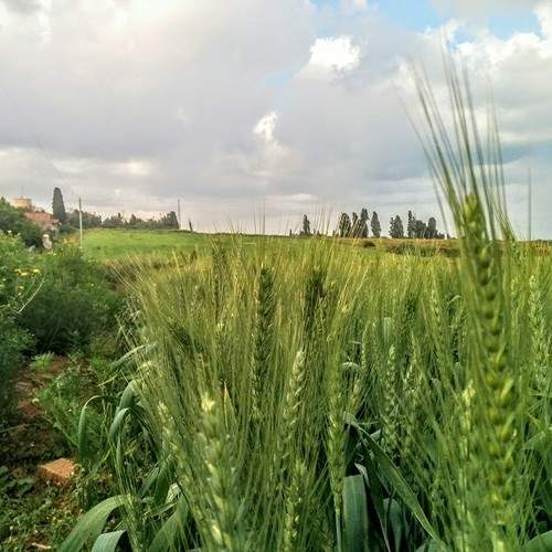 Фотография #5946011