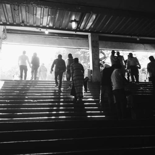 Photo #5946062