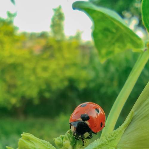 Photo #5946129