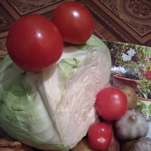 Photo #5946214