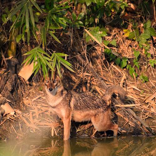 Photo #5946383