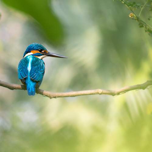 Photo #5946441