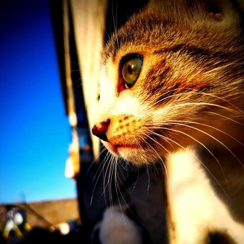 Hunter eyes