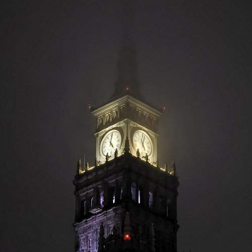 Photo #5946591
