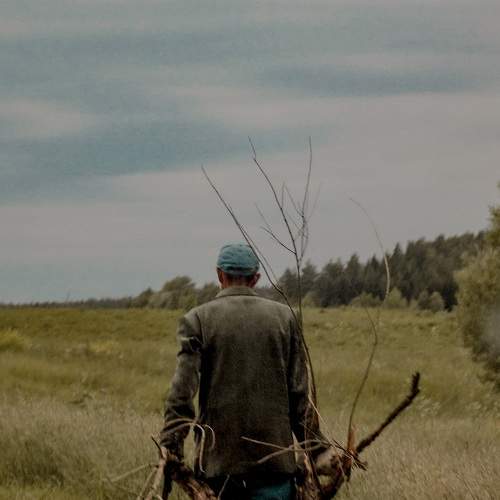 Photo #5946666