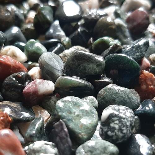 Photo #5946911