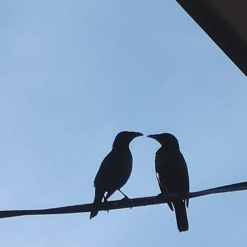 Photo #5946914