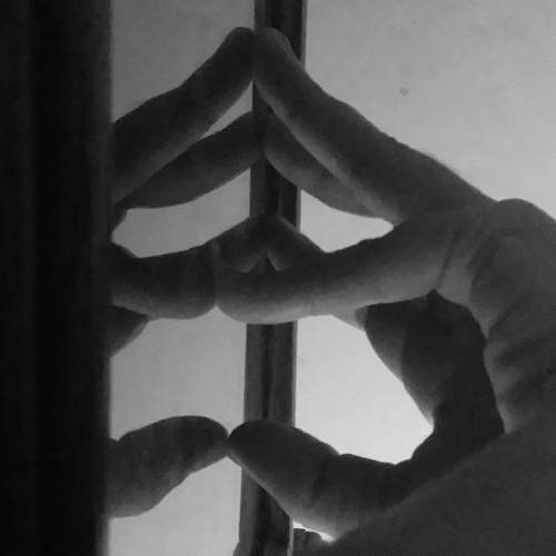 Reflejos