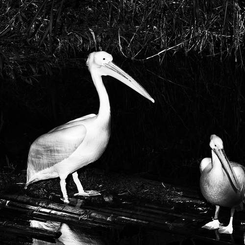 Photo #5947000