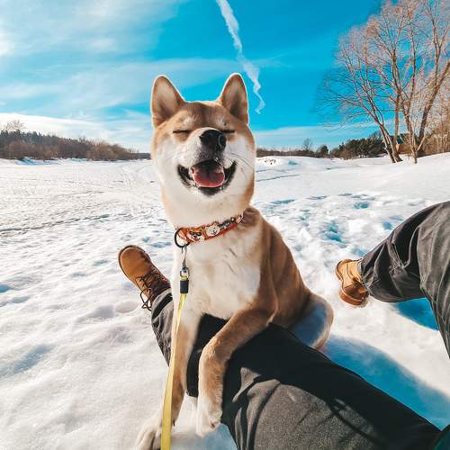 Photo #5947361