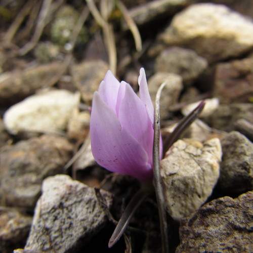 Photo #5947461