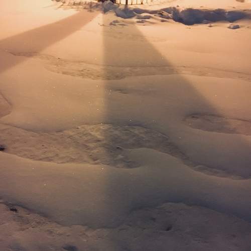 Photo #5947641