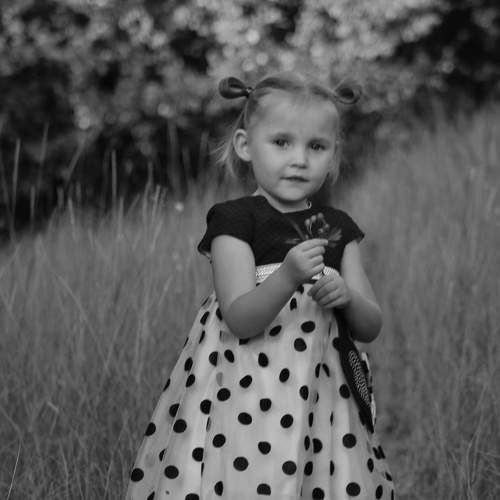 Photo #5947742