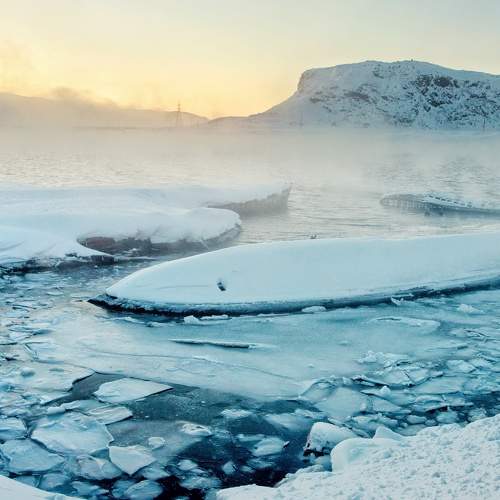 Photo #5948227