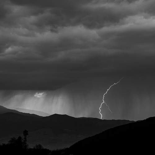 Photo #5948310