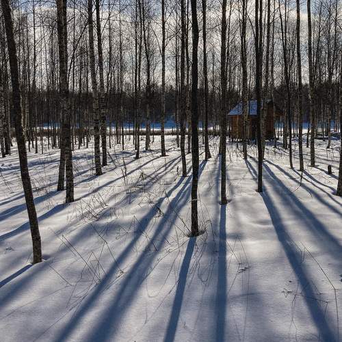 Photo #5948511