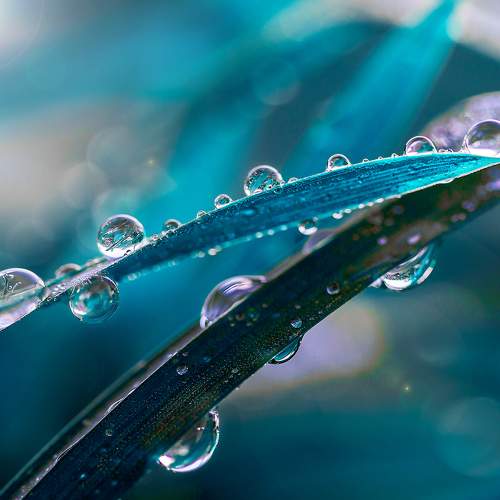 Photo #5948727