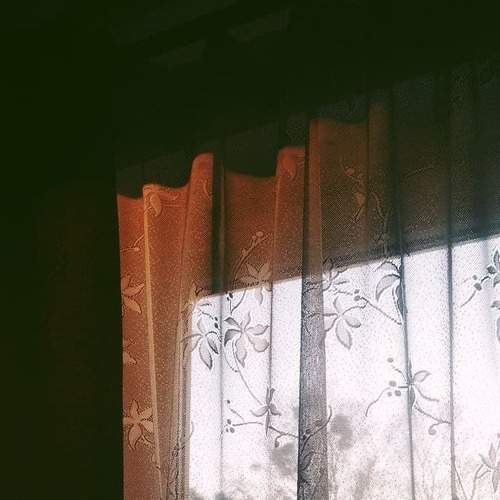 Photo #5948819
