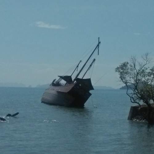 Photo #5949147