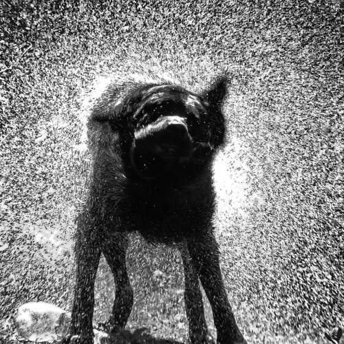 Photo #5949350