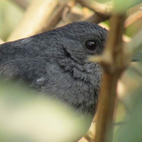 Photo #5949405
