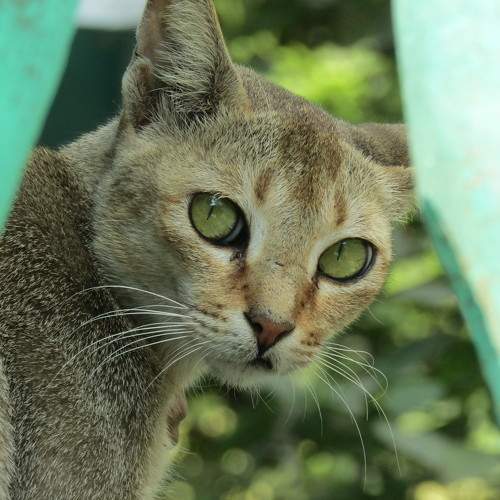 Photo #5949445