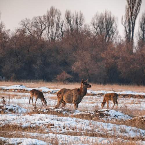 Photo #5949449