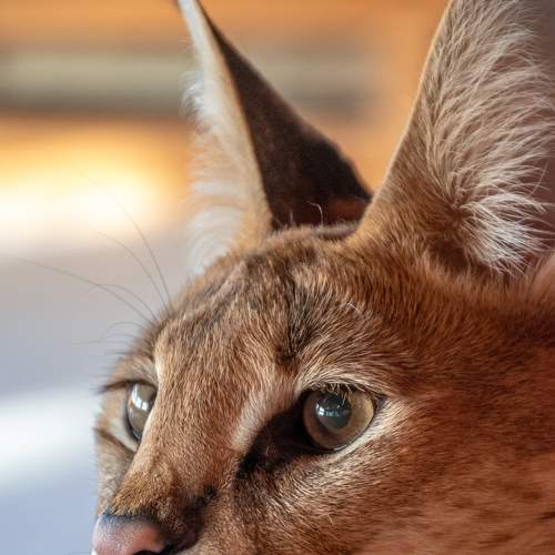 Photo #5949460