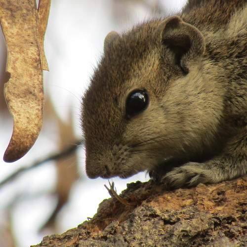 Photo #5949465