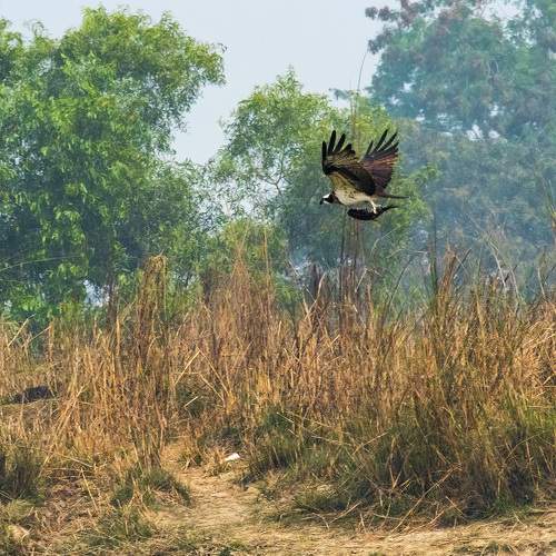 Photo #5949692