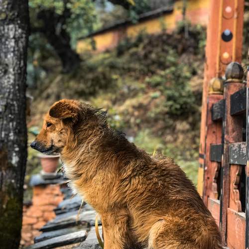 Photo #5949719