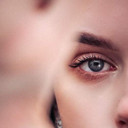 Photo #5949895