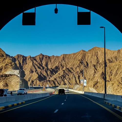 Photo #5950014