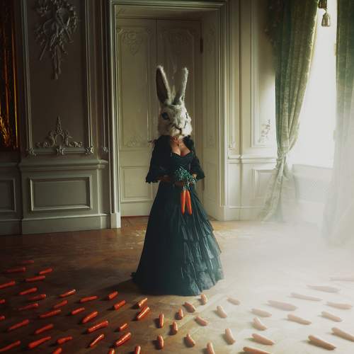 Photo #5950112