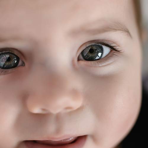 Photo #5950257