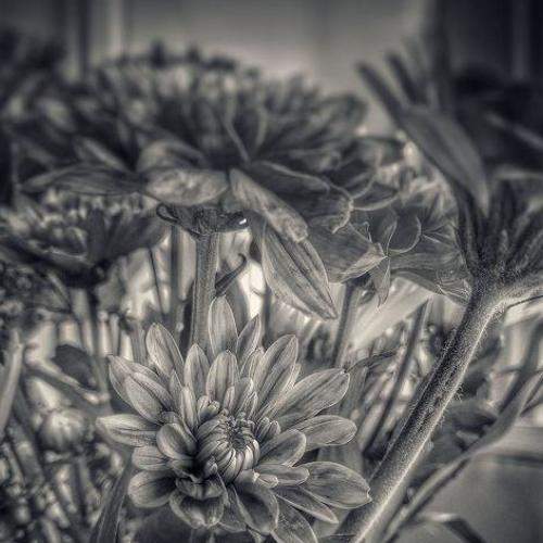 Photo #5950310